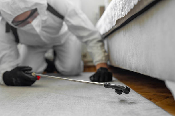 Professional Emergency Pest Control technician working in Leadville North, CO