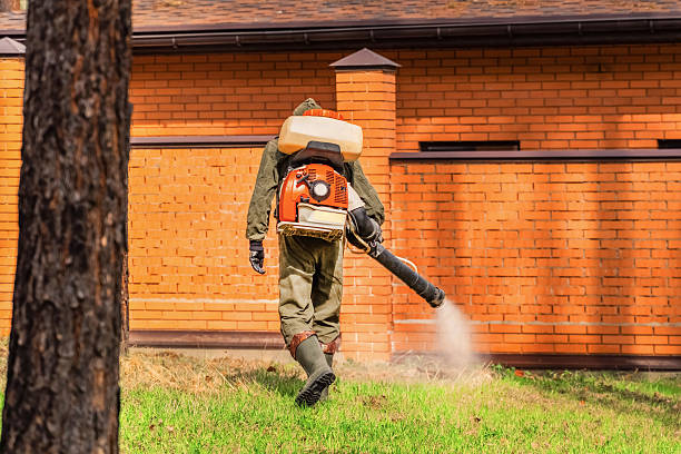 Trusted Bed Bug Control service in Leadville North, CO - Nex Pest Control